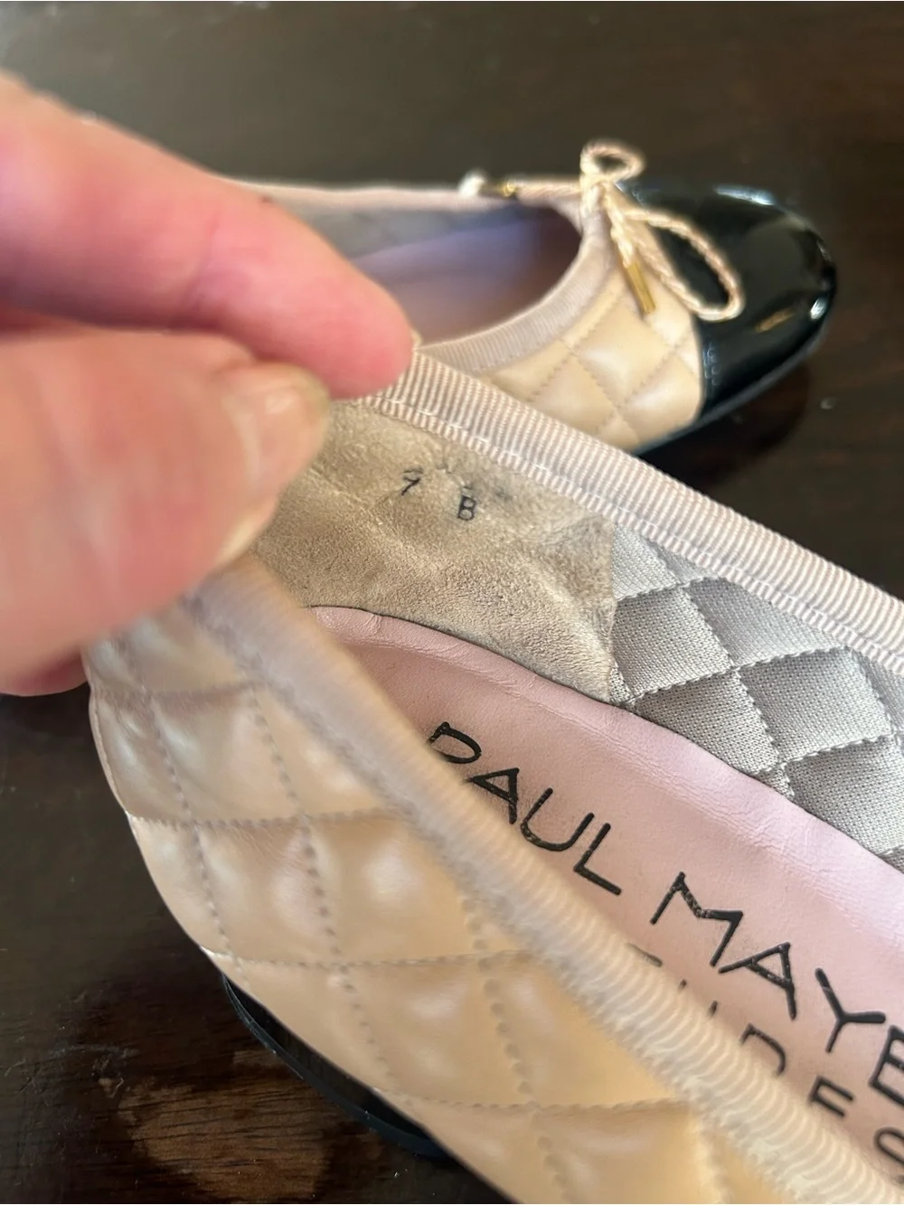 Paul Mayer attitudes ballet shoe